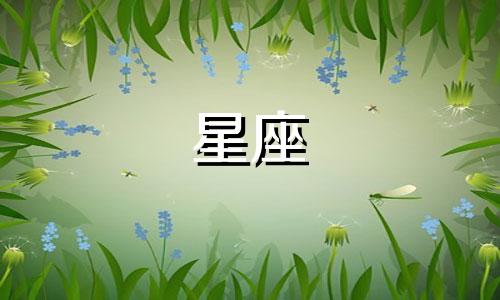 各个星座可以多久忘一个人