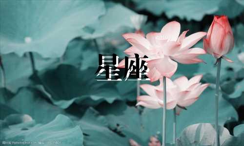 12星座谁喜欢一个人多久