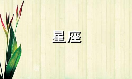 十二星座追一个人多久能放弃