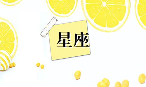 各大星座喜欢一个人坚持多久