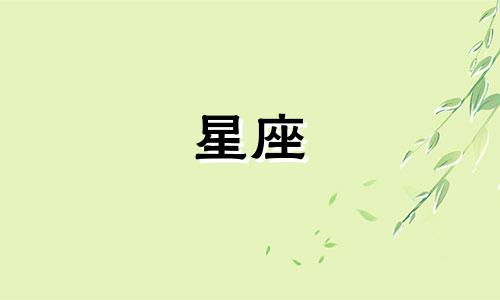 十二星座可以坚持爱一个人多久