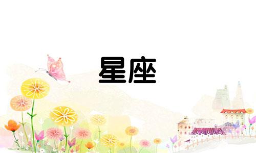 12星座追一个人会坚持多久
