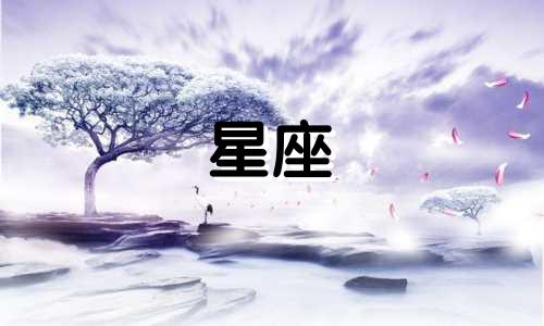 各个星座喜欢一个人能持续多久
