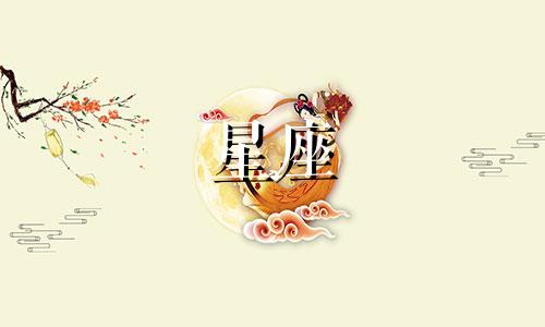12个星座追一个人会追多久