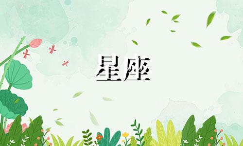 十二星座有多少人会喜欢