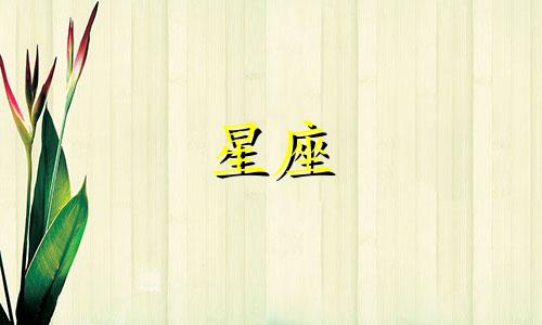 一共有多少个星座分别