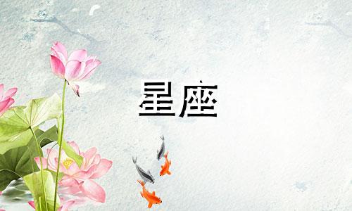 12 星座智商多少