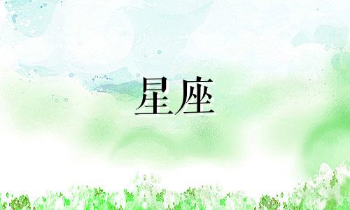 欧米茄星座表带多少节