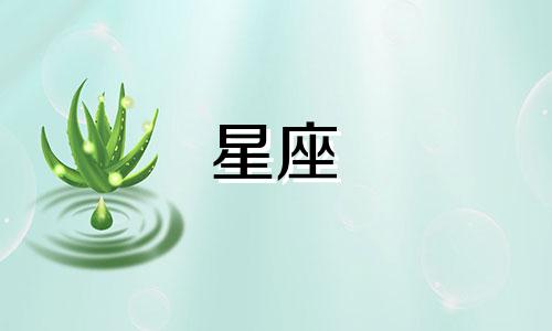 有多少星座喜欢做菜呢