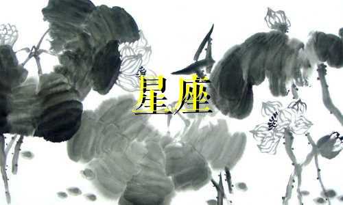 十二星座的狗智商多少