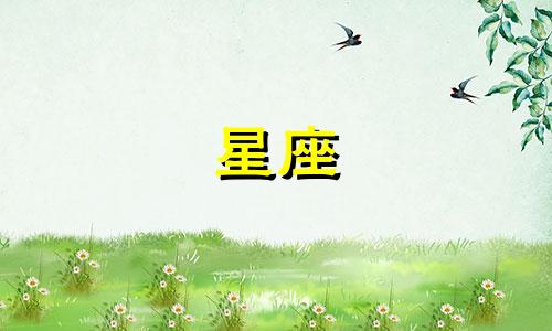 十二星座吃多少斤鸡腿