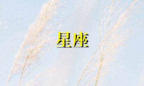 有多少星座不是混血的