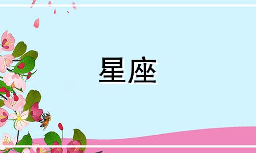 播放星座的新号是多少