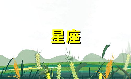 天蝎男星座比重是多少