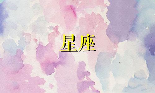 十二星座专注度多少合适