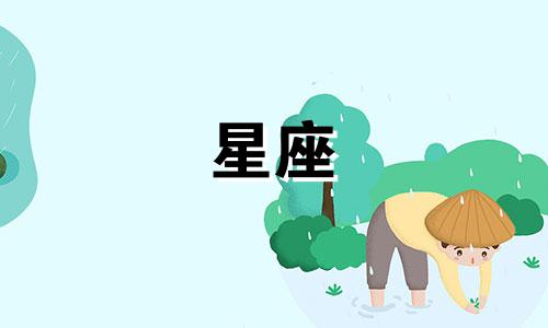 东方星座有多少户房子