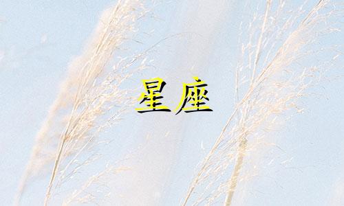东方星座最低首付多少