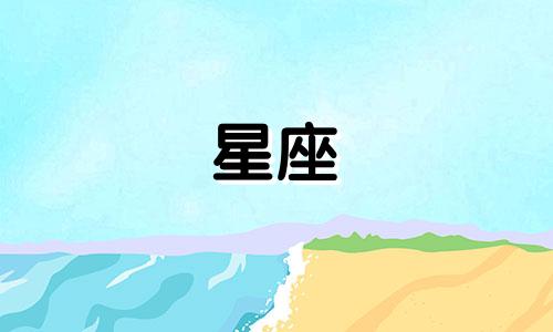 十二星座飞机有多少吨