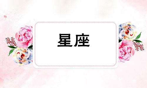 十二星座女有多少前任