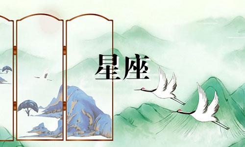 十二星座爱情值多少元