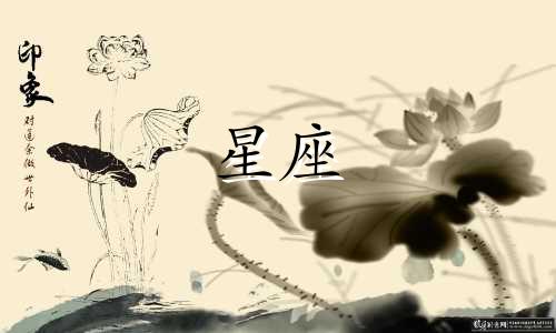 十二星座的战力是多少