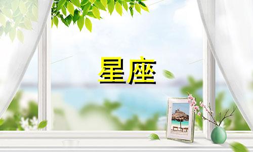 十二星座每天吃多少面包