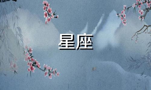 十二星座能吃多少鸡腿