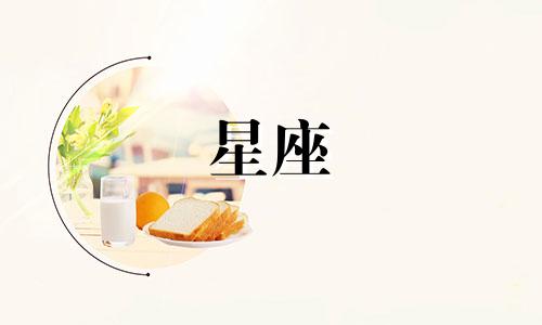十二星座有多少种皮肤