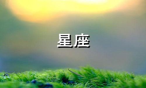 十二星座能有多少灵魂伴侣