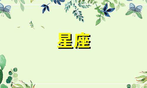 十二星座专注度是多少