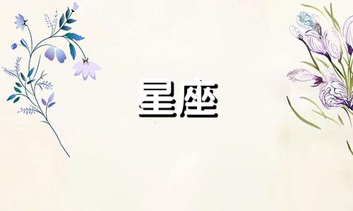 天蝎狮子星座比重是多少
