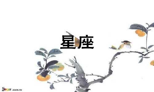 韩国欧米茄星座多少钱