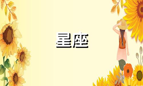 十二星座能吃多少龙虾皮