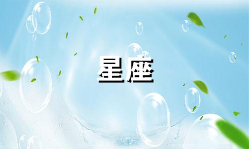 不同星座女生比胸大多少