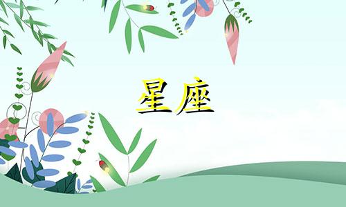 12星座的公主衣服值多少