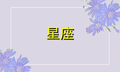 12星座爱你的指数有多少