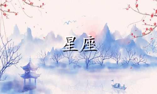 月球陨石有多少个星座