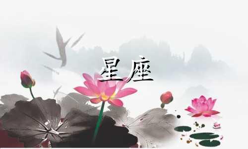 日本元帅有多少颗星座