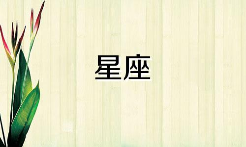 信用分多少分才能点亮星座