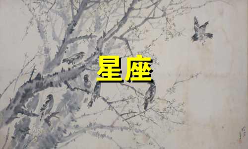 十二星座谁的生日是多少