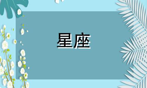 月亮陨石有多少个星座