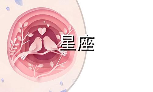 十二星座吃多少汉堡会死