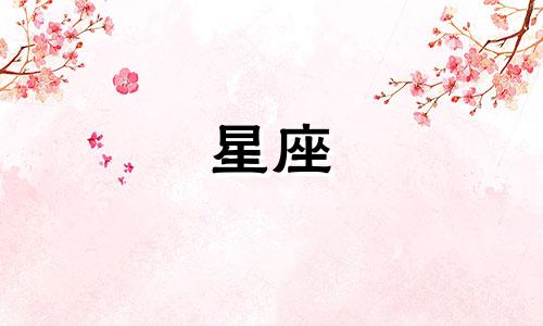 十二星座飞机有多少吨座位