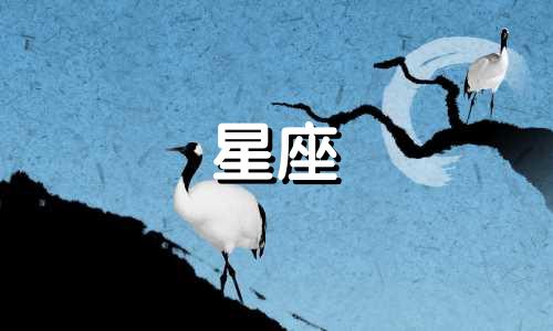 有多少星座适合嫁给白羊男