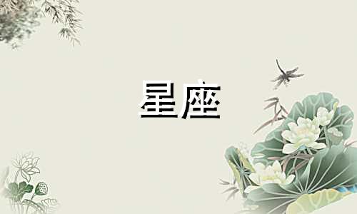 十二星座公主凉鞋多少钱