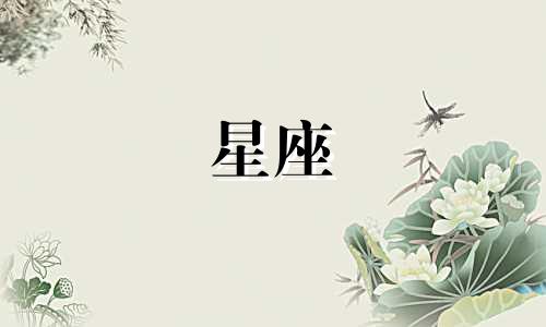 迷你版星座密码是多少