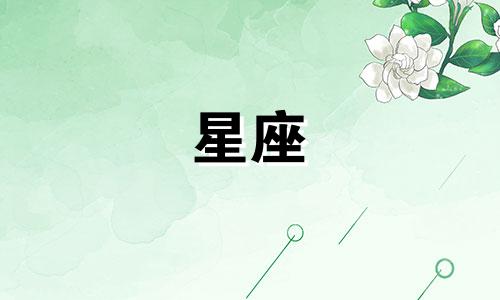 十二星座有多少种公主裙