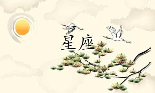 12星座有多少追求者不要