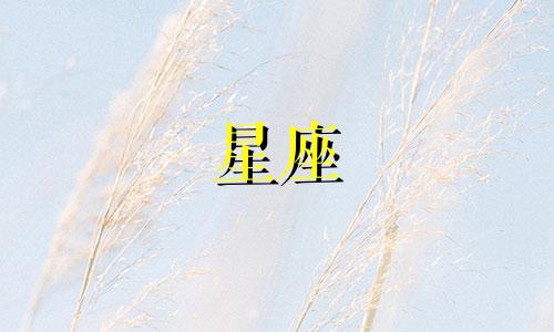星座最多有多少个恒星