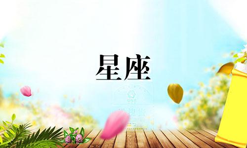 青春有多少星座分别是谁